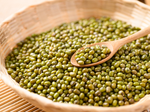 Fresh Banana – Export Quality