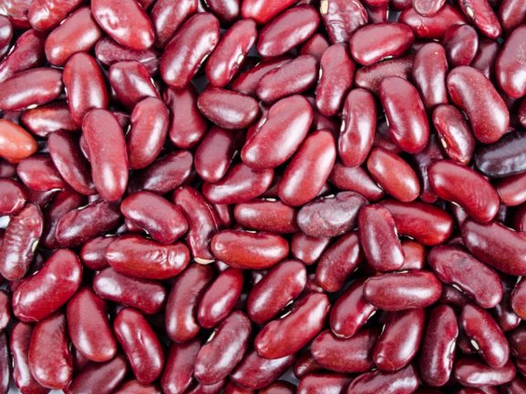 Chickpeas Packaging 1