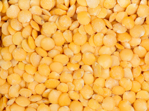 Fresh Bottle Gourd – Export Quality