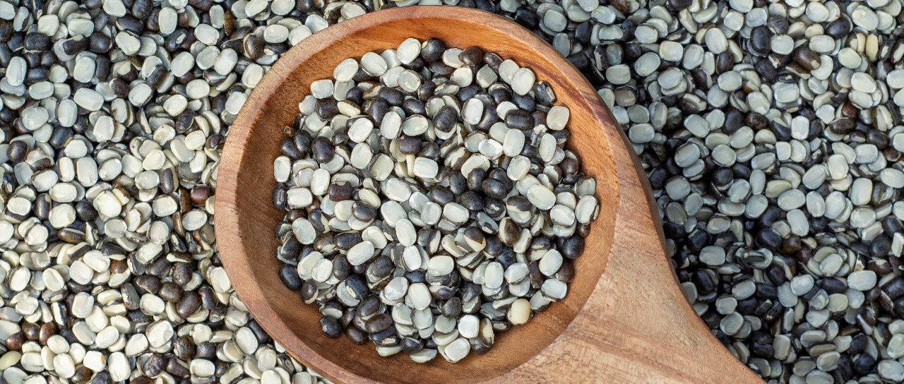 Urad Dal Exporters India